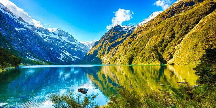 Chuyển phát nhanh đo New Zealand nhanh chóng