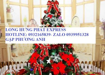 Dịch vụ gửi quà giáng sinh đi Mỹ