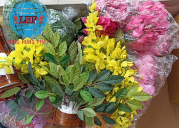 Dịch vụ gửi quà tết đi new zealand nhanh chóng