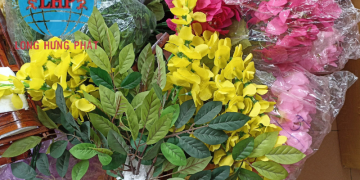 Dịch vụ gửi quà tết đi new zealand nhanh chóng